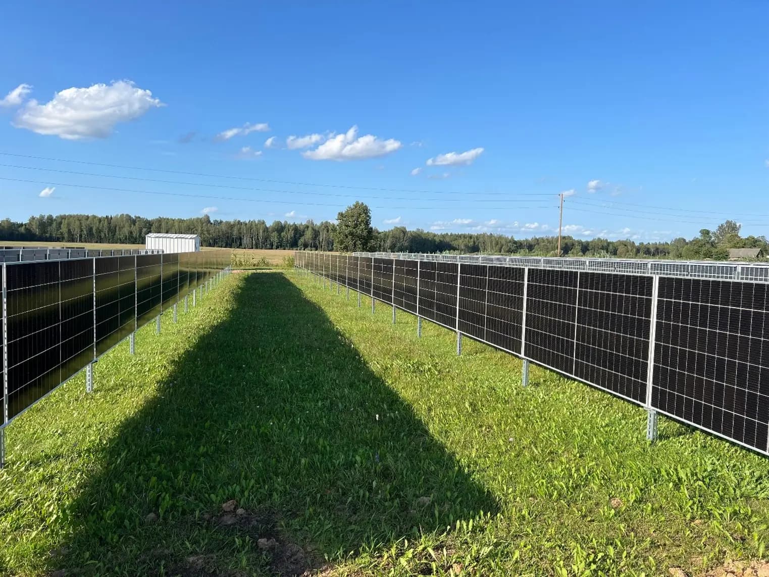 ENERGUM vertikālo saules paneļu rindas laukā ar zālāju starp tām